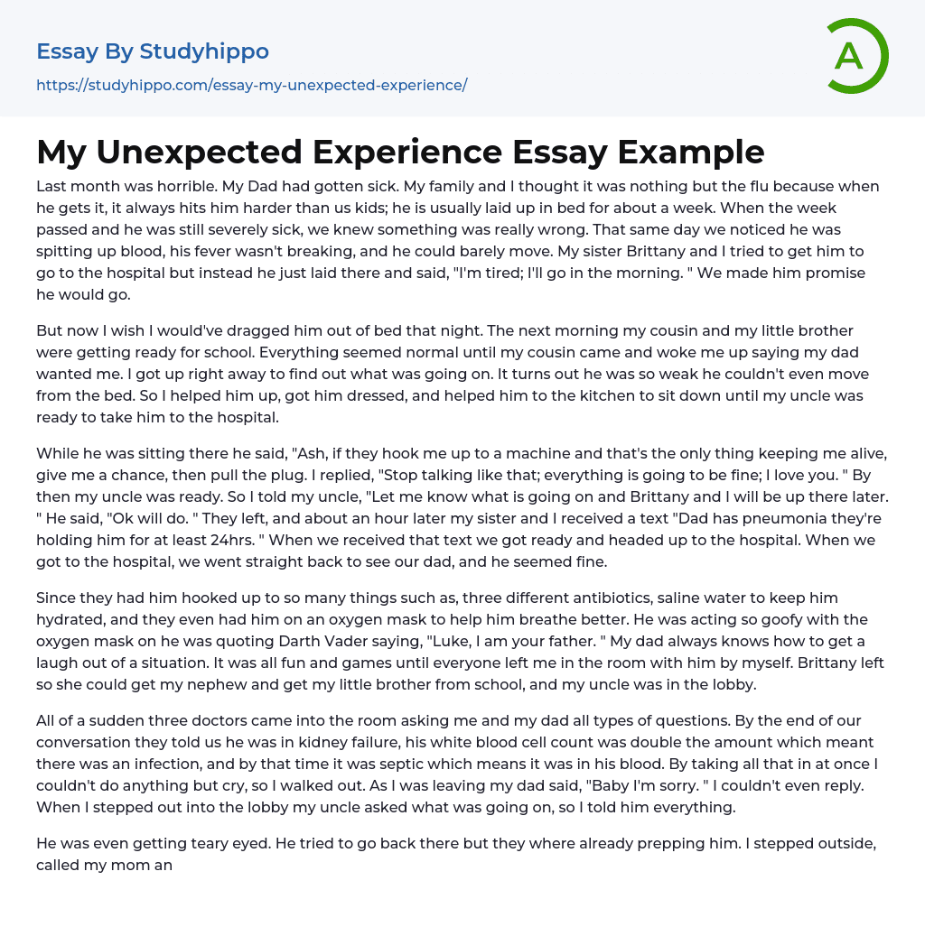 My Unexpected Experience Essay Example