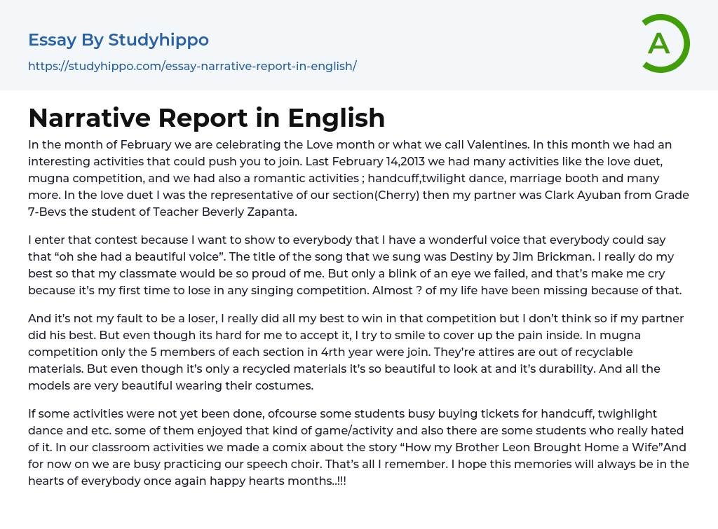 Narrative Report in English Essay Example