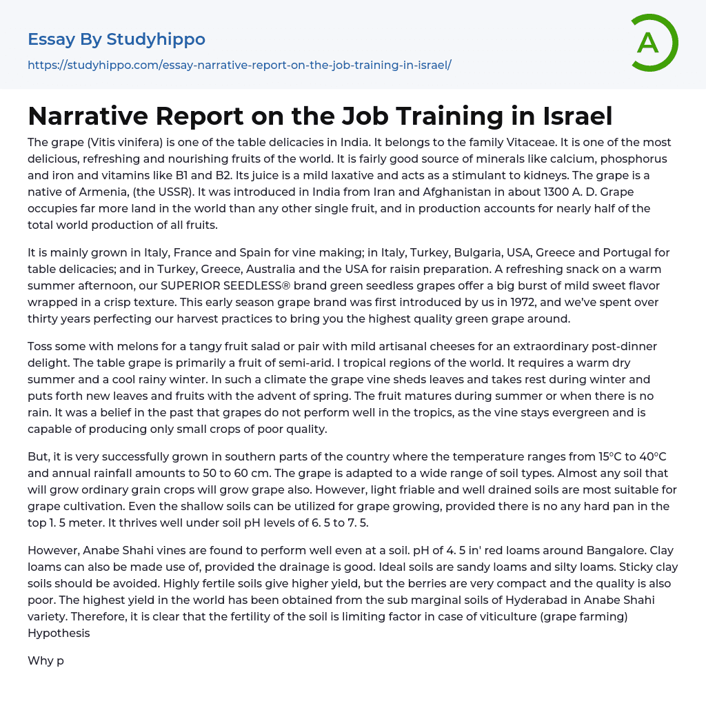 Narrative Report on the Job Training in Israel Essay Example
