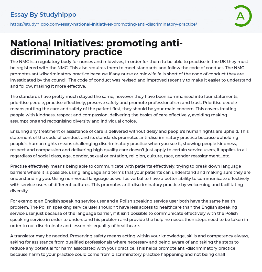 National Initiatives: promoting anti-discriminatory practice Essay Example