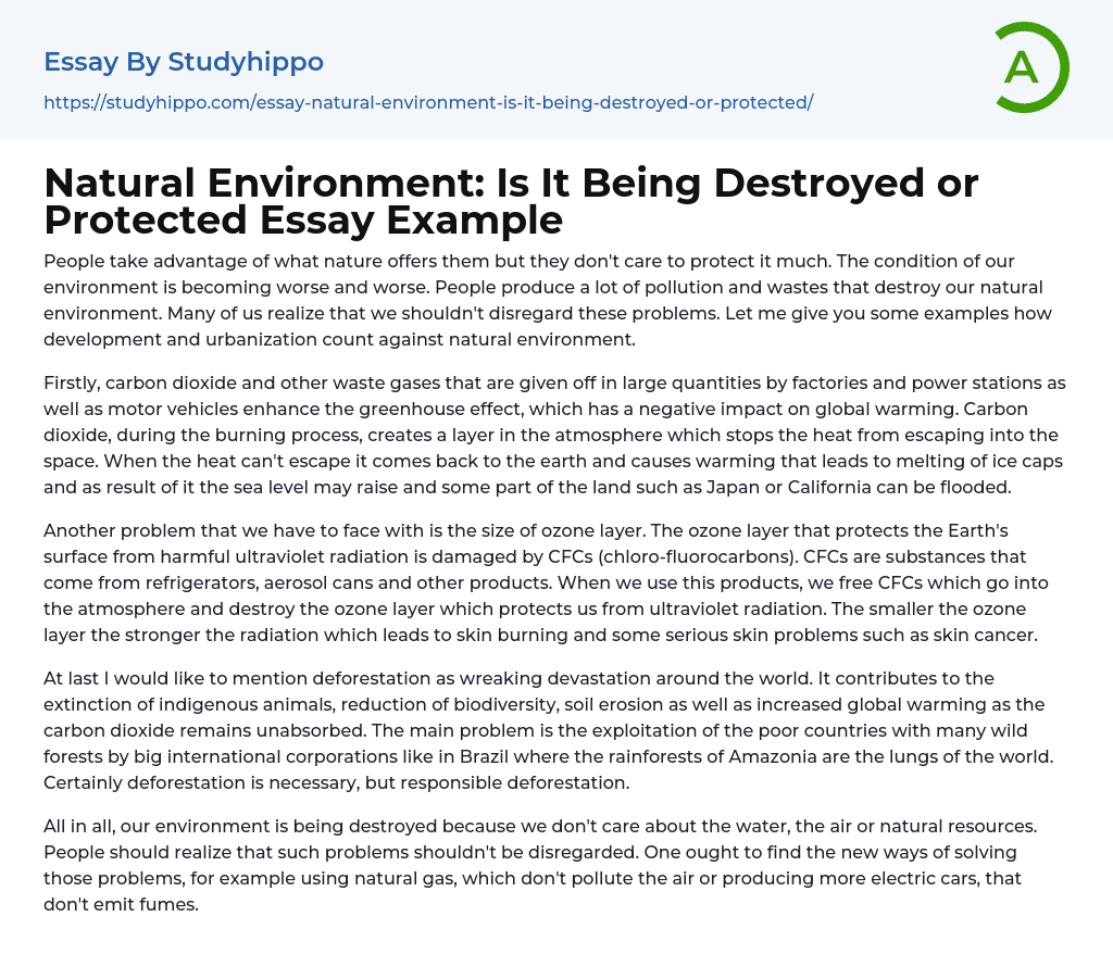 Natural Environment: Is It Being Destroyed or Protected Essay Example
