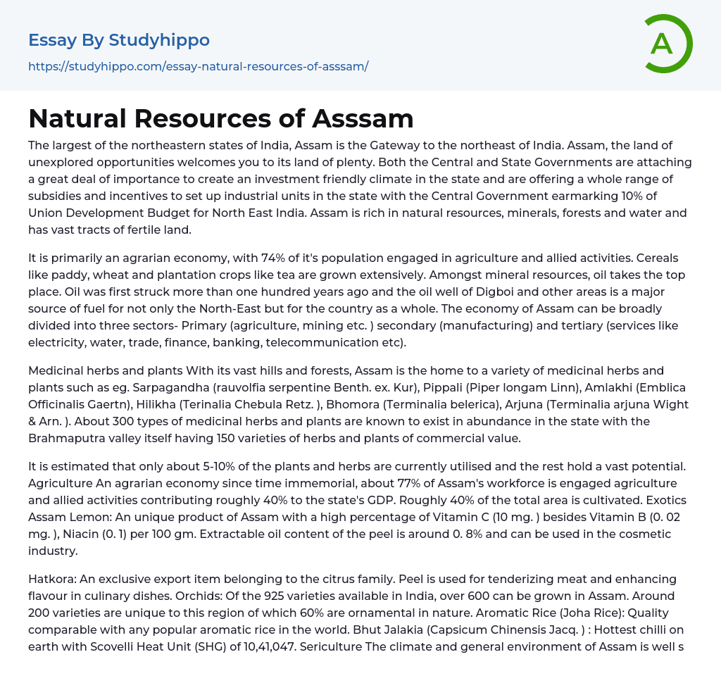 Natural Resources of Asssam Essay Example