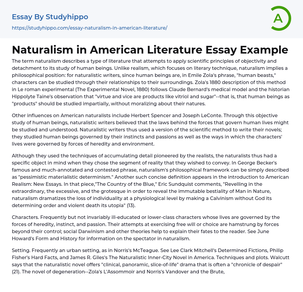 Naturalism in American Literature Essay Example