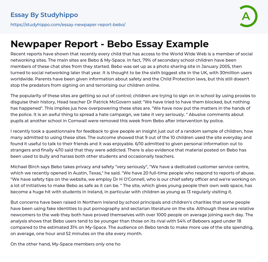 Newpaper Report – Bebo Essay Example
