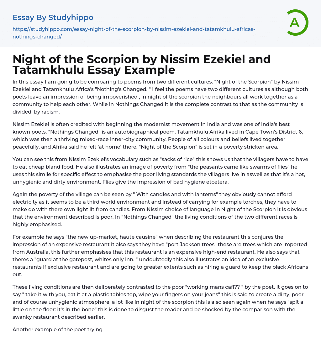 Night of the Scorpion by Nissim Ezekiel and Tatamkhulu Essay Example