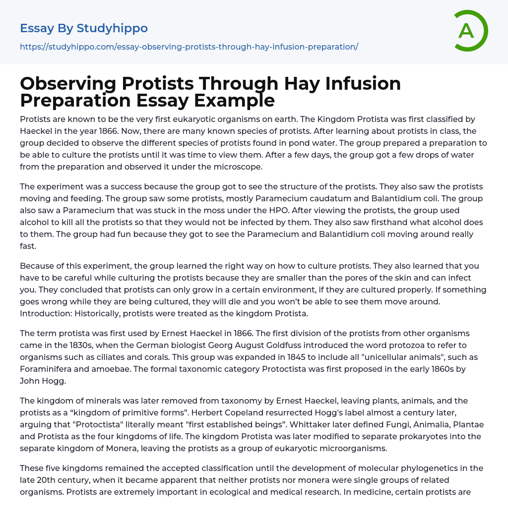 Observing Protists Through Hay Infusion Preparation Essay Example