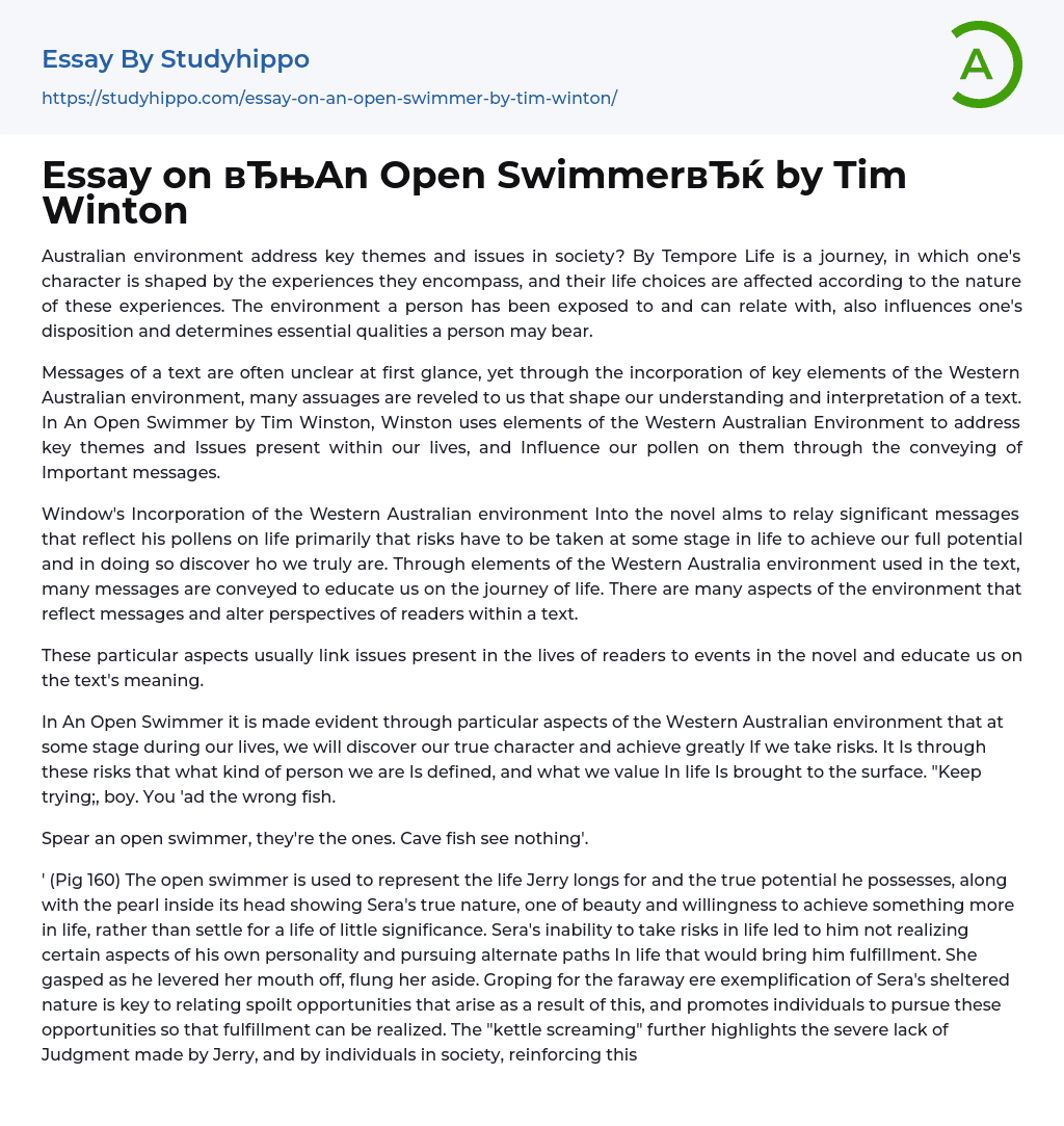 Essay on “An Open Swimmer” by Tim Winton