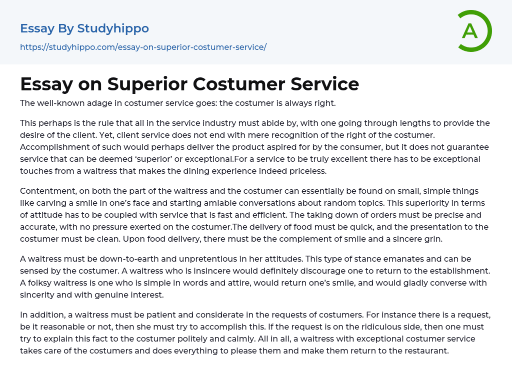Essay on Superior Costumer Service