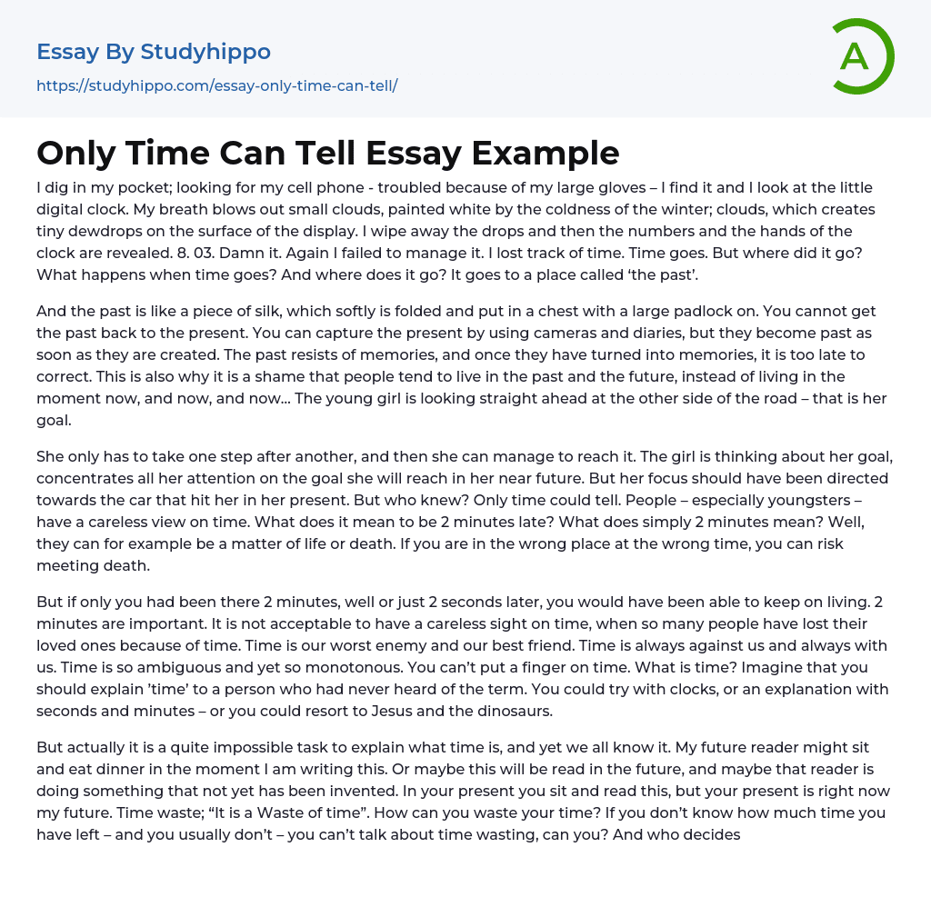 Only Time Can Tell Essay Example