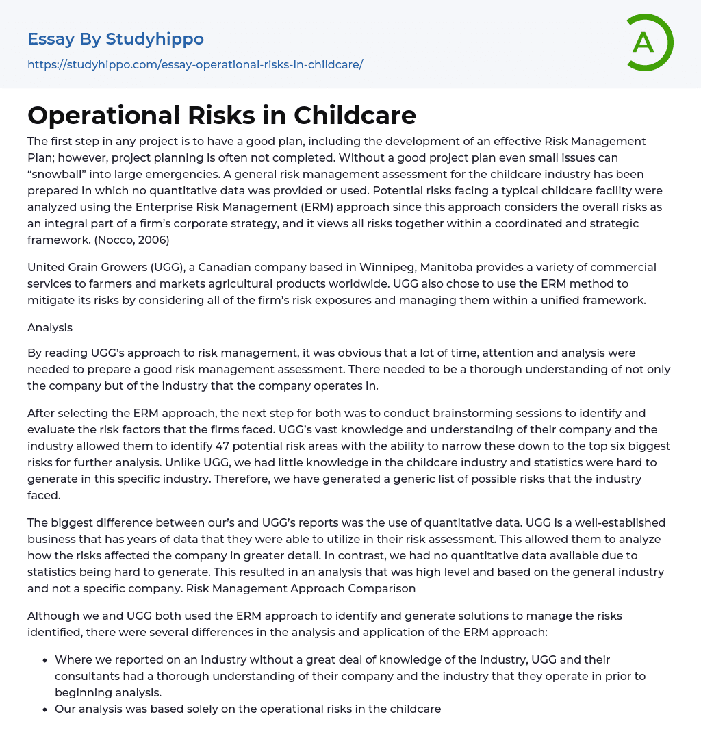 Operational Risks in Childcare Essay Example