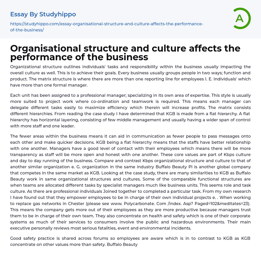 Organisational structure and culture affects the performance of the business Essay Example