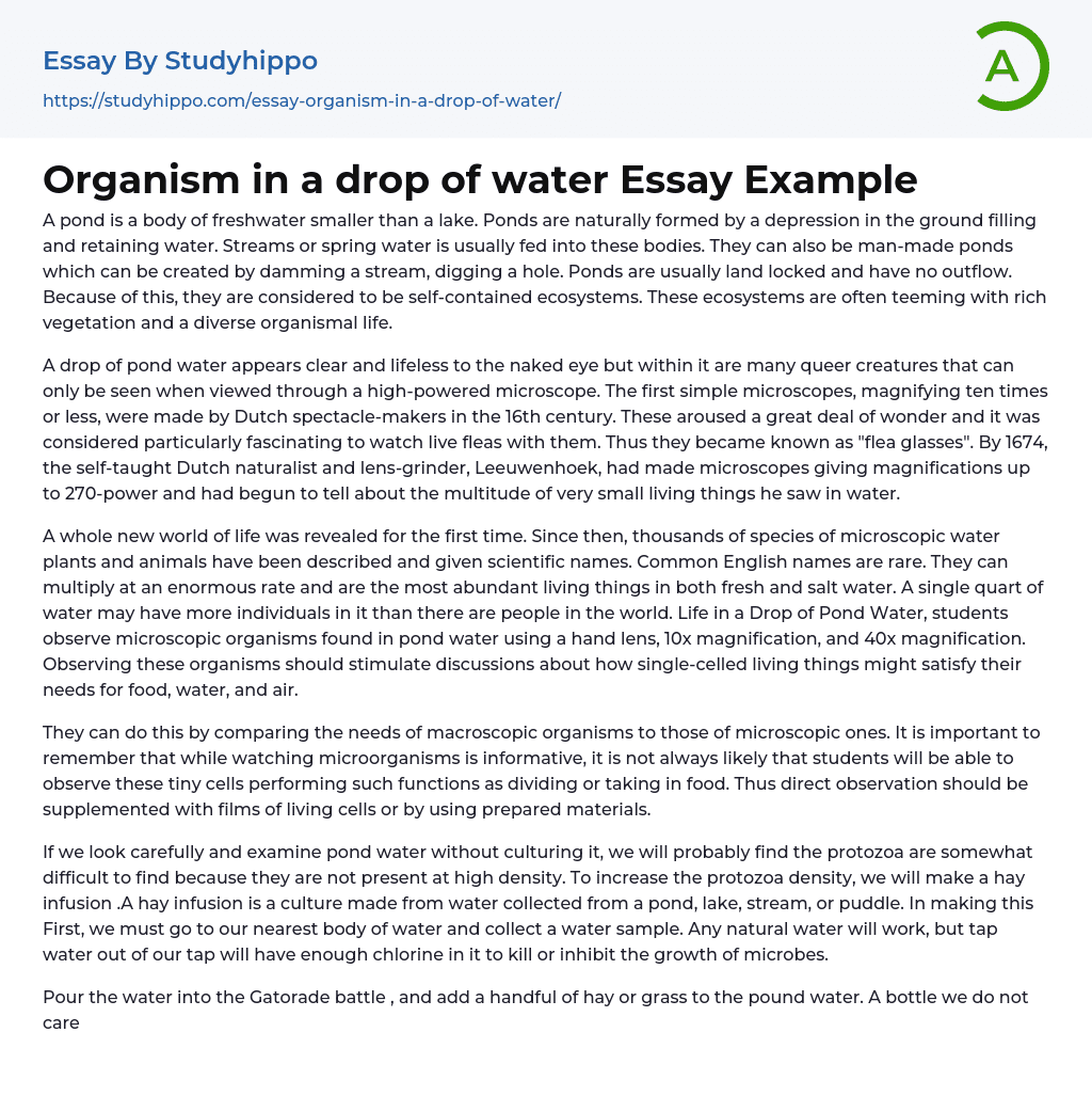 Organism in a drop of water Essay Example