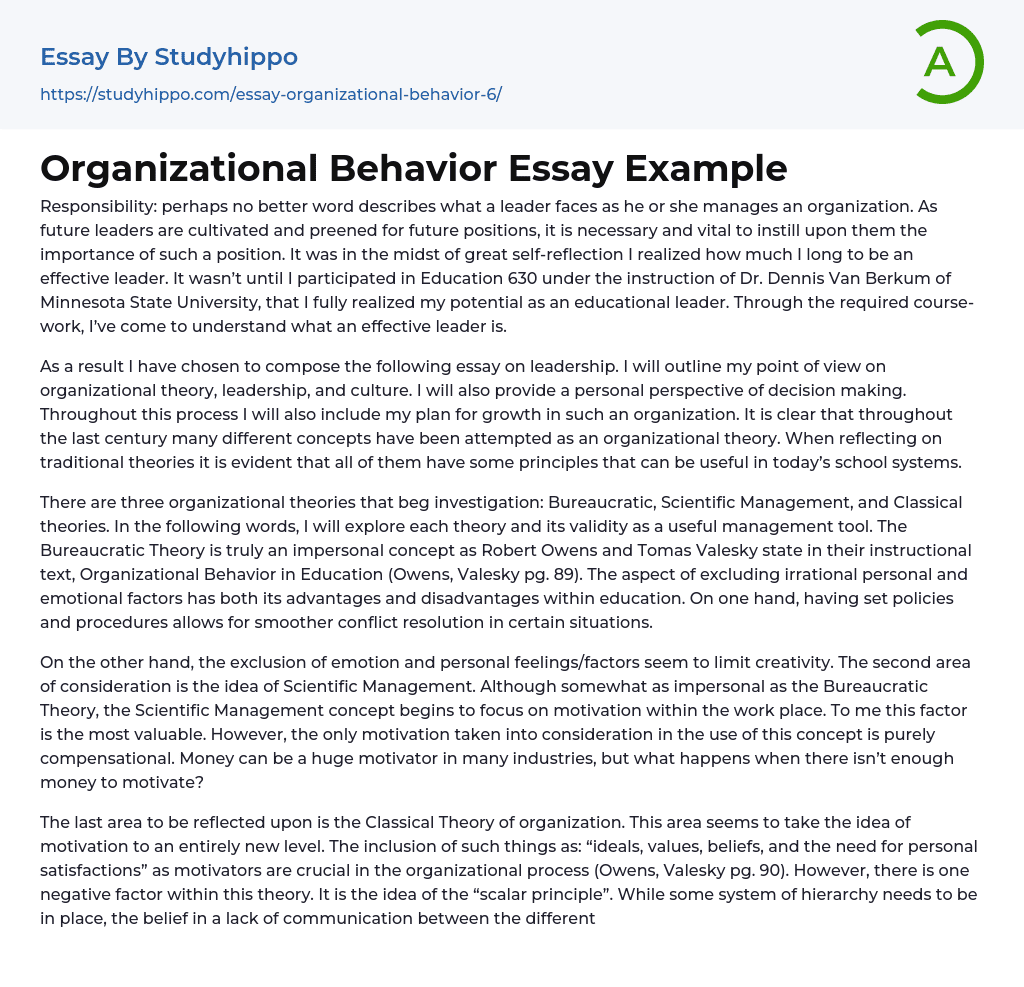 Organizational Behavior Essay Example