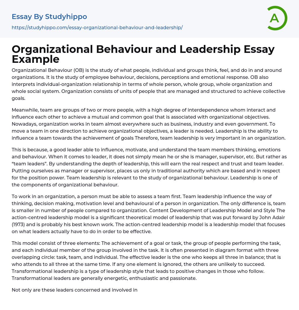 Organizational Behaviour and Leadership Essay Example