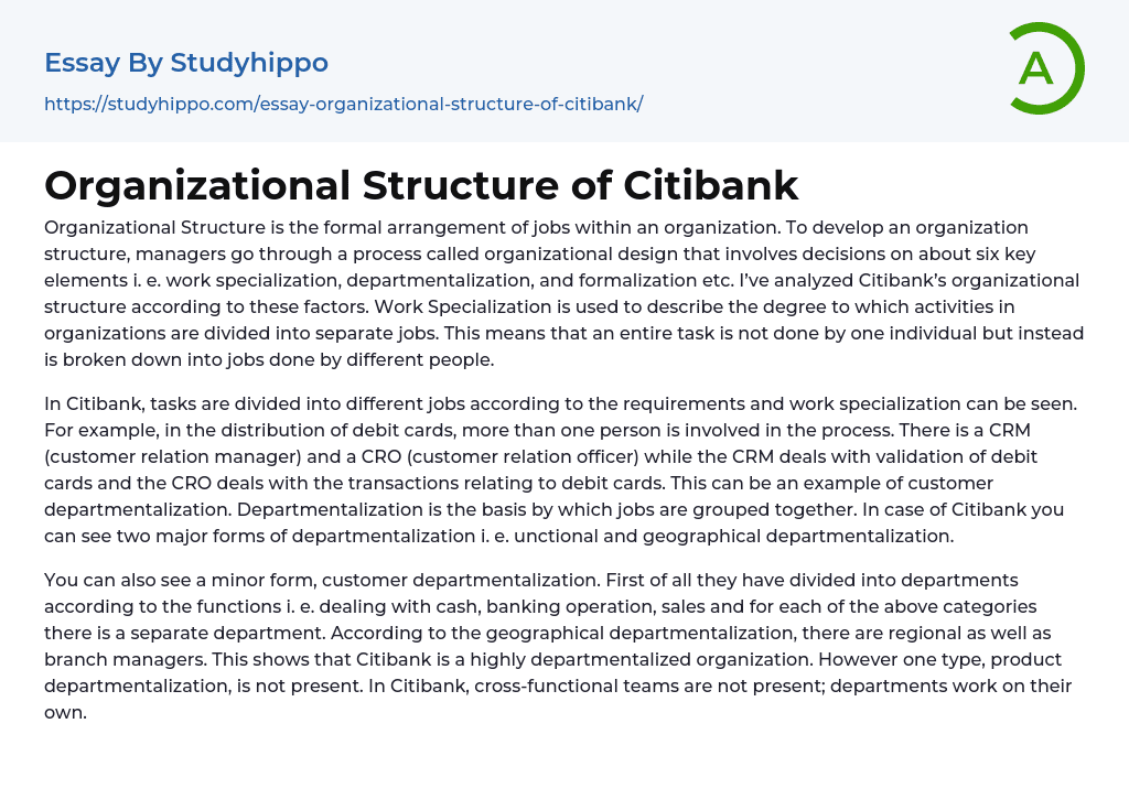 Organizational Structure of Citibank Essay Example