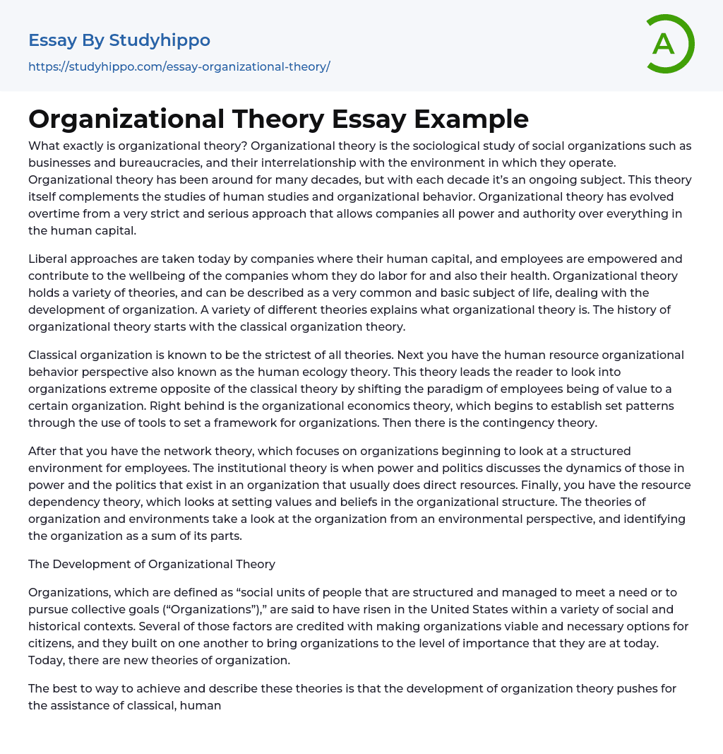 Organizational Theory Essay Example