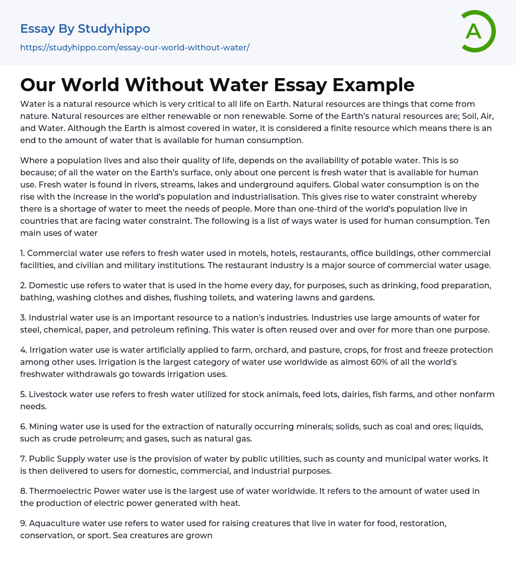 Our World Without Water Essay Example