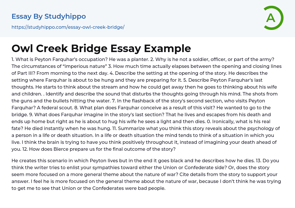 Owl Creek Bridge Essay Example