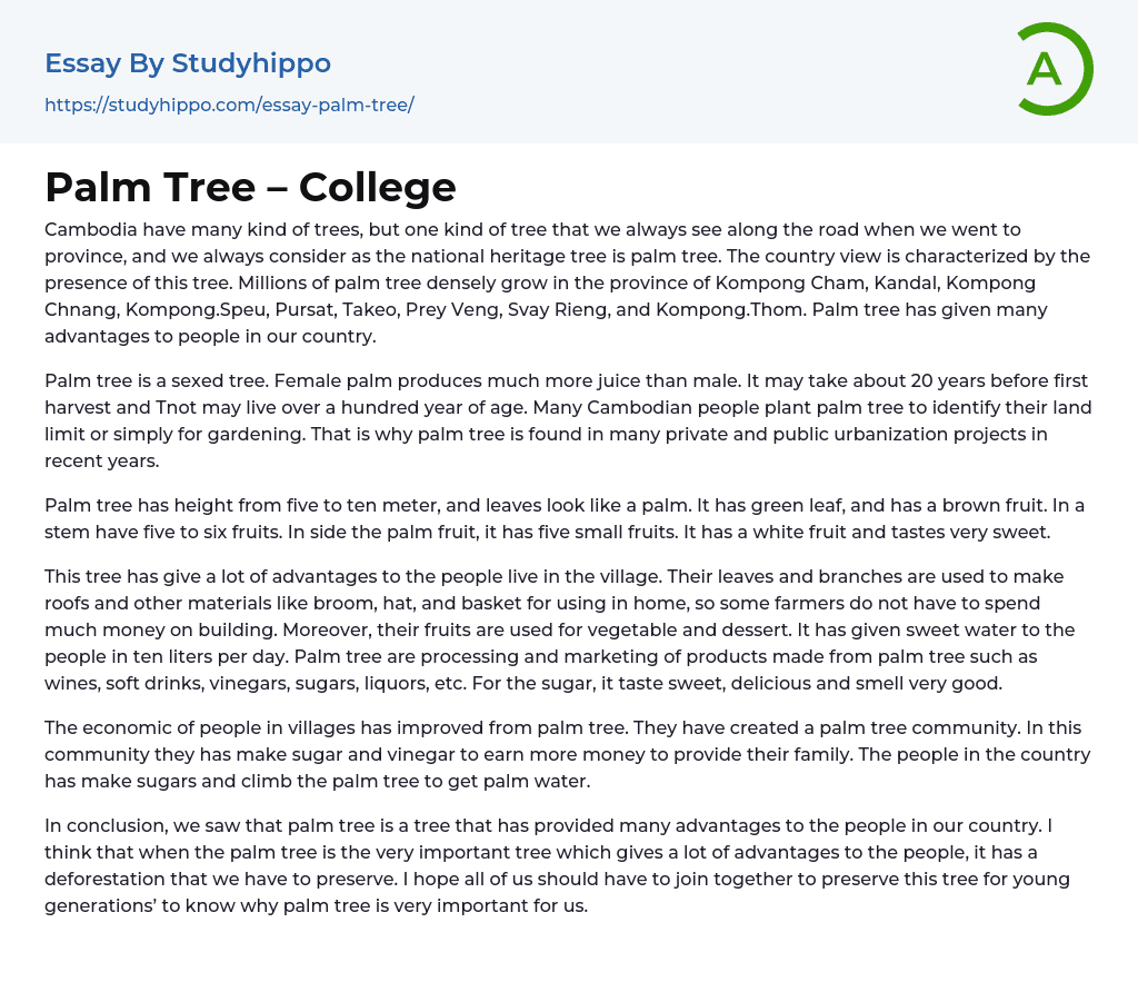 Palm Tree – College Essay Example