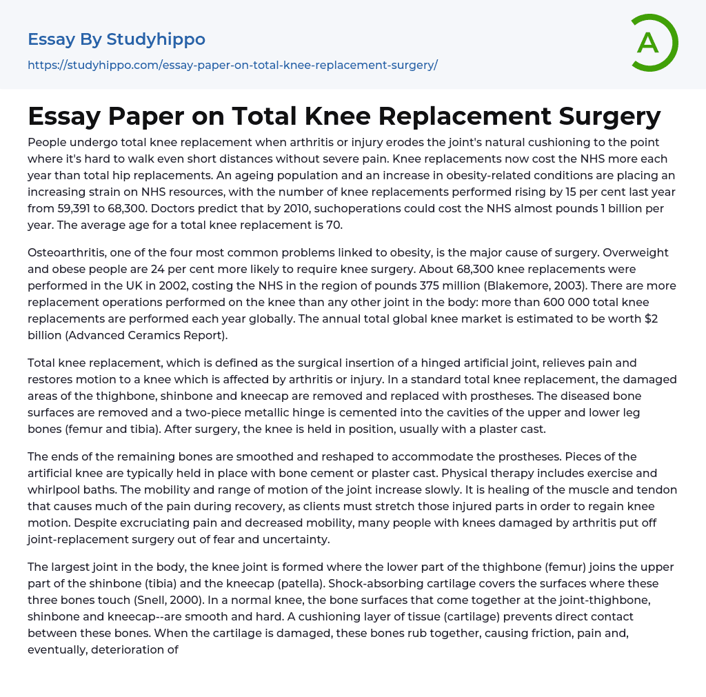Essay Paper on Total Knee Replacement Surgery