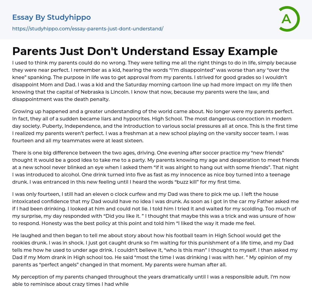 Parents Just Don’t Understand Essay Example