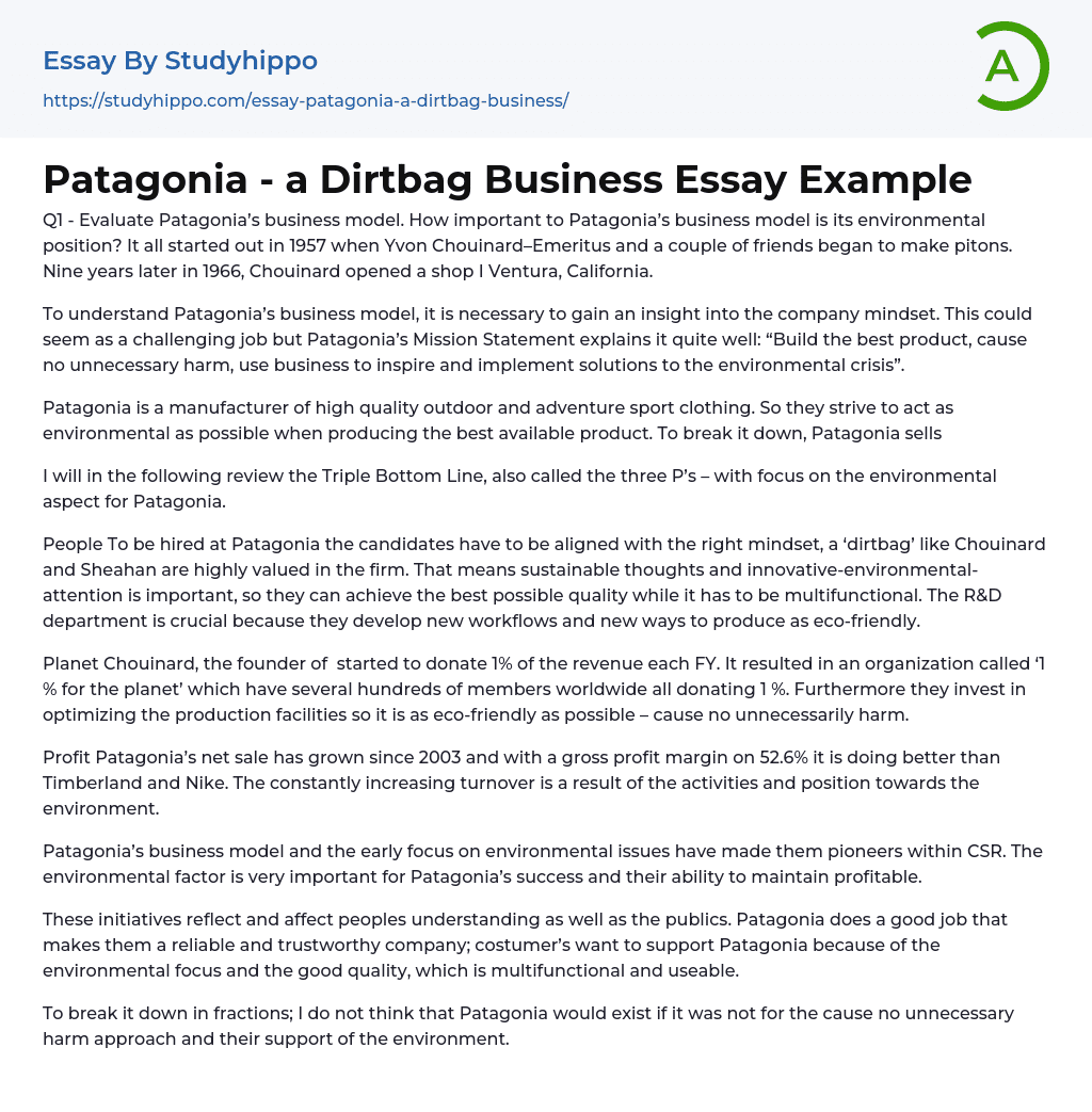 Patagonia – a Dirtbag Business Essay Example