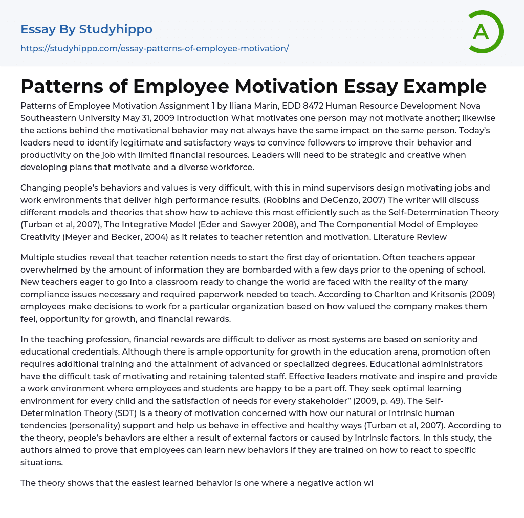 Patterns of Employee Motivation Essay Example
