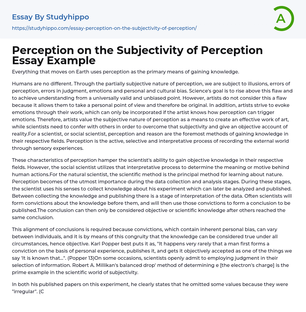 Perception on the Subjectivity of Perception Essay Example