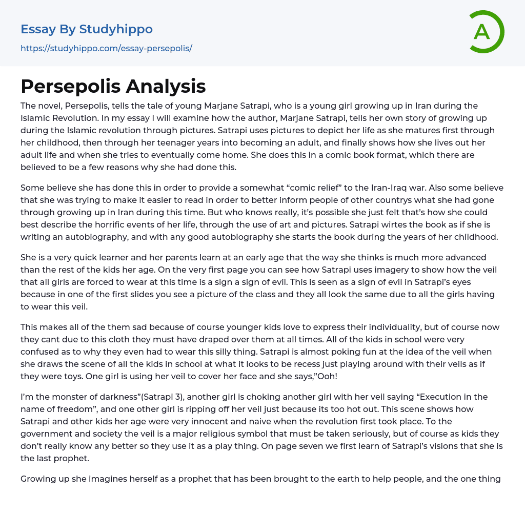 Persepolis Analysis Essay Example