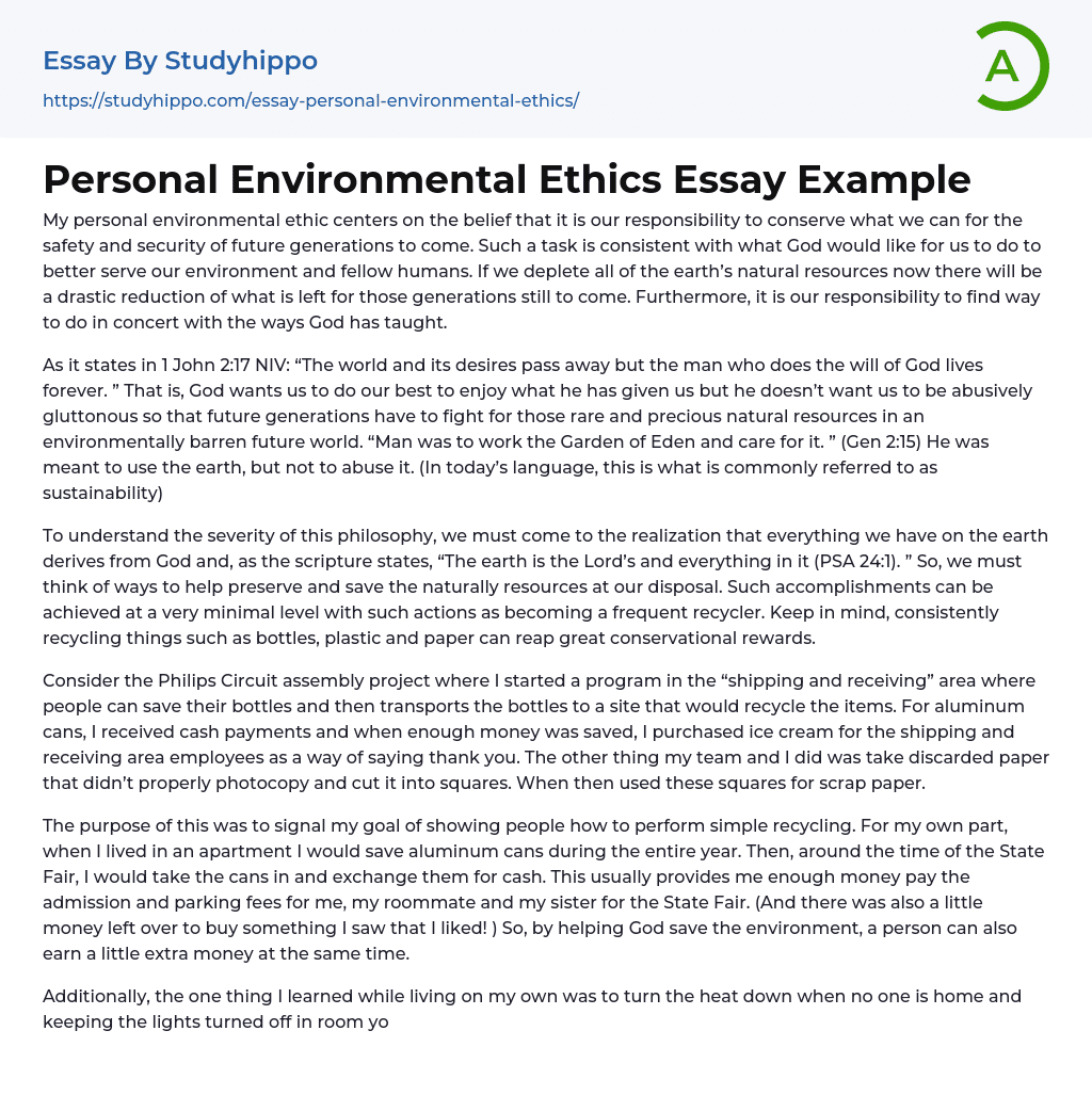 Personal Environmental Ethics Essay Example