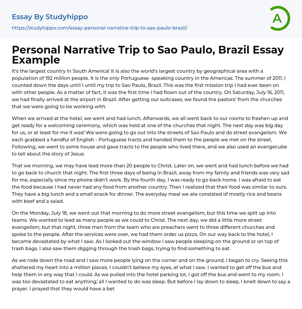 Personal Narrative Trip to Sao Paulo, Brazil Essay Example