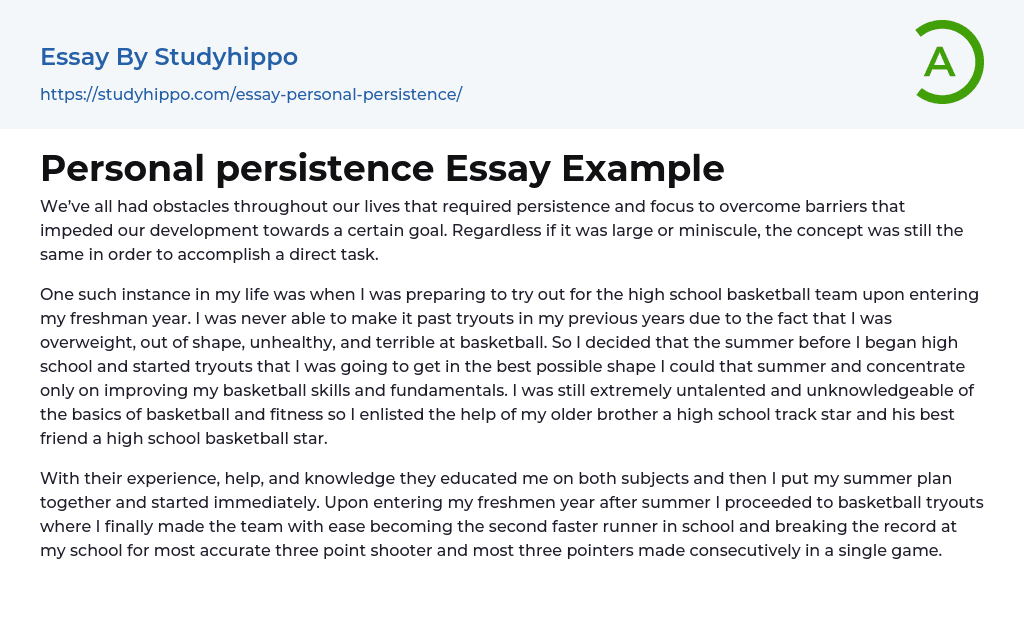 Personal persistence Essay Example