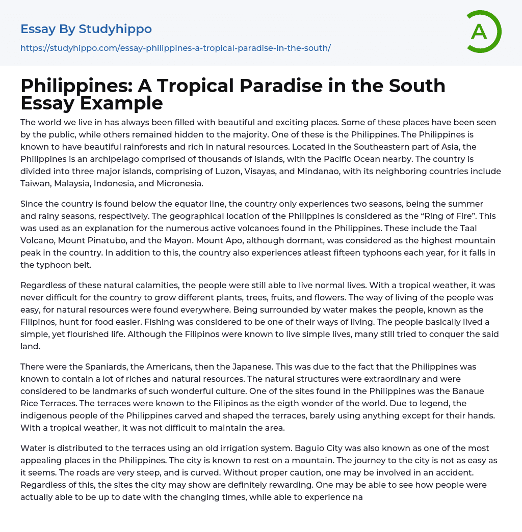 Philippines: A Tropical Paradise in the South Essay Example