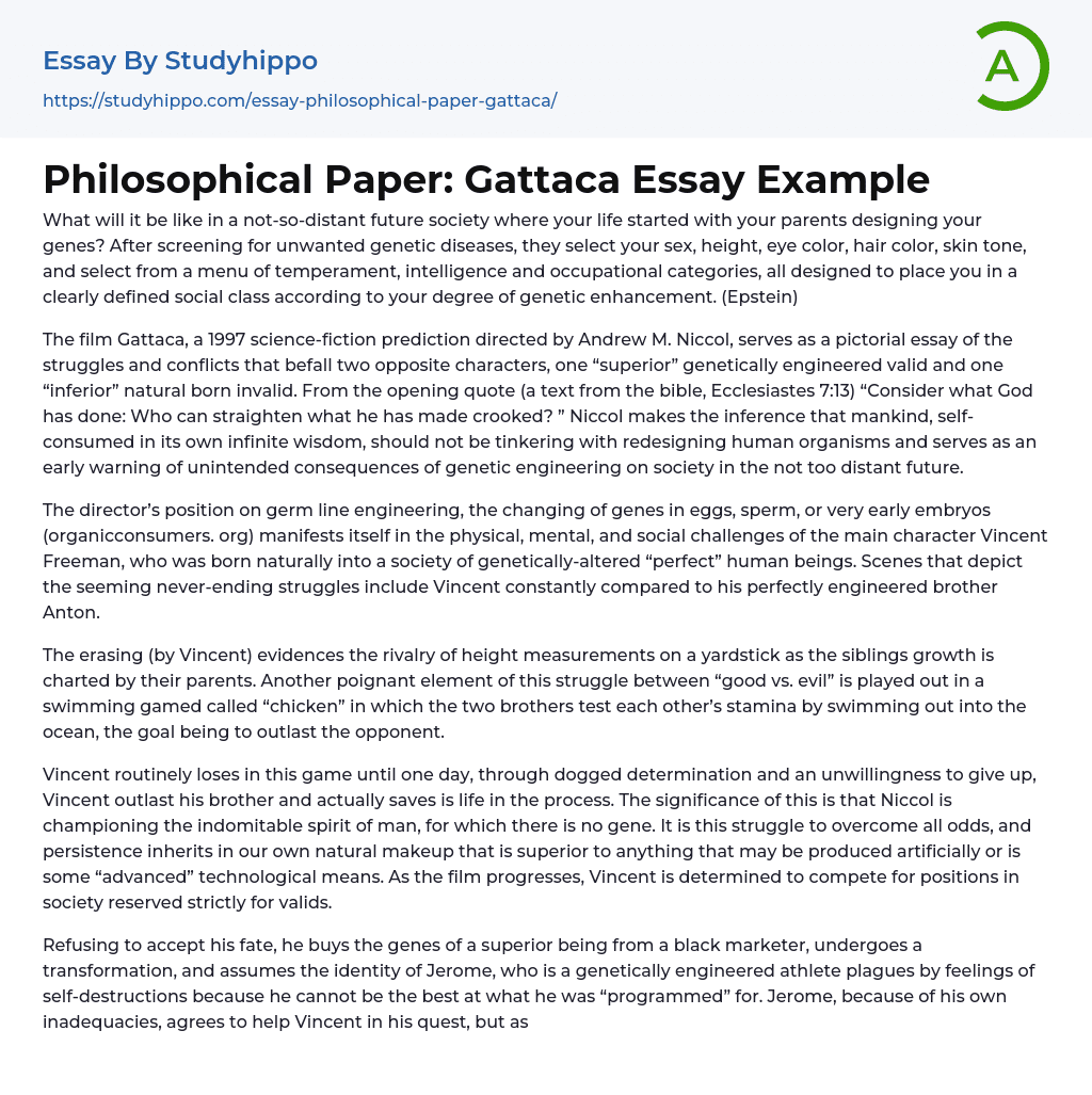 Philosophical Paper: Gattaca Essay Example