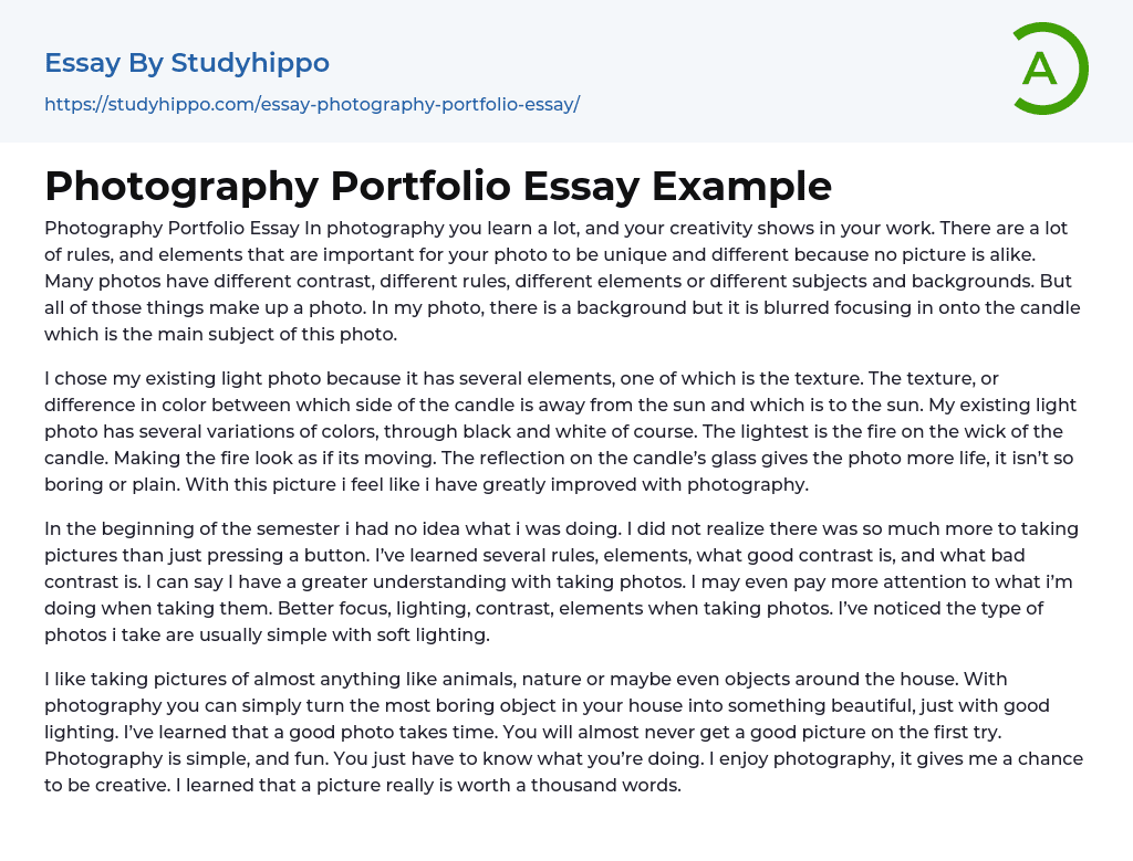 Photography Portfolio Essay Example