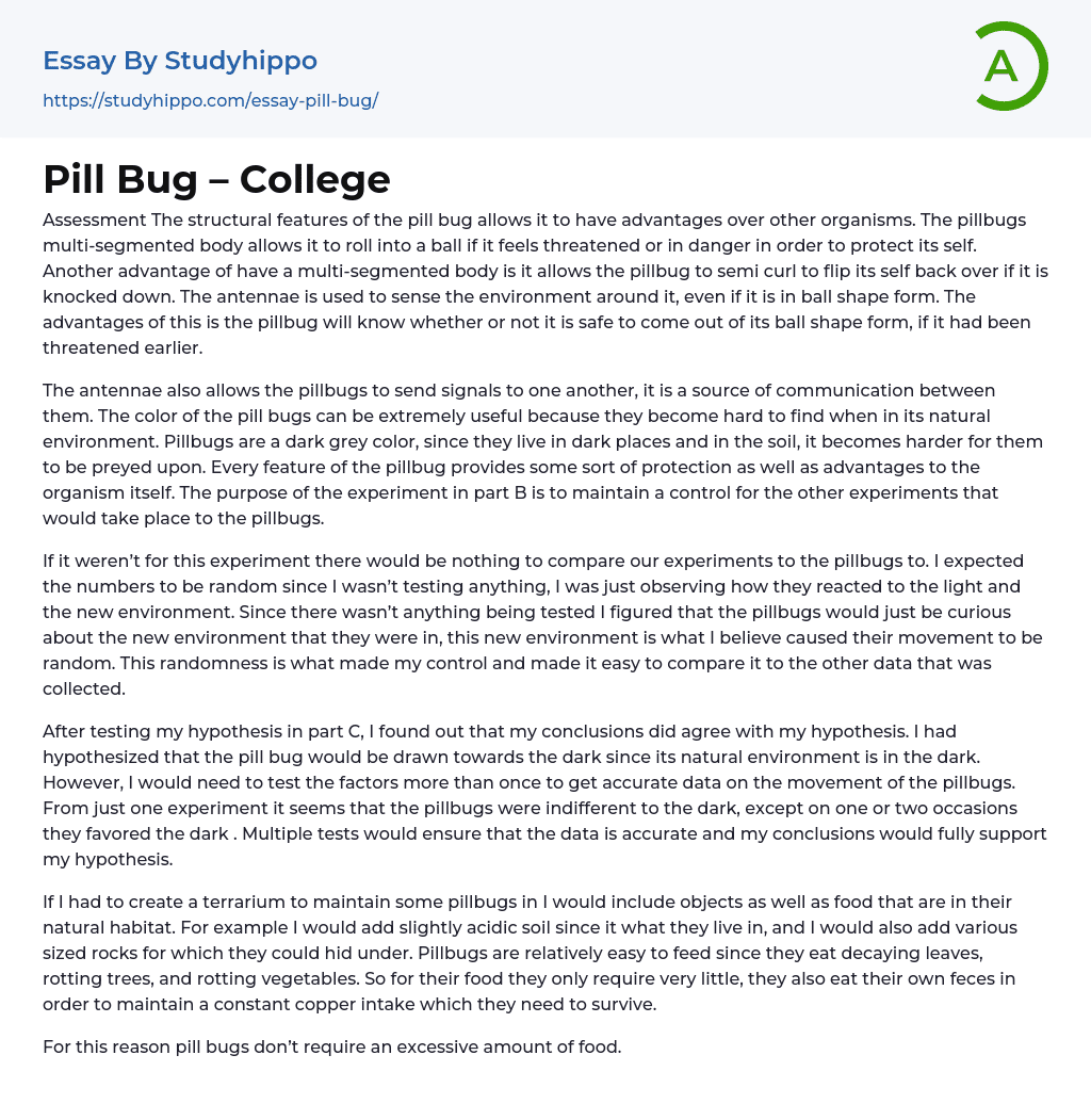 Pill Bug – College Essay Example