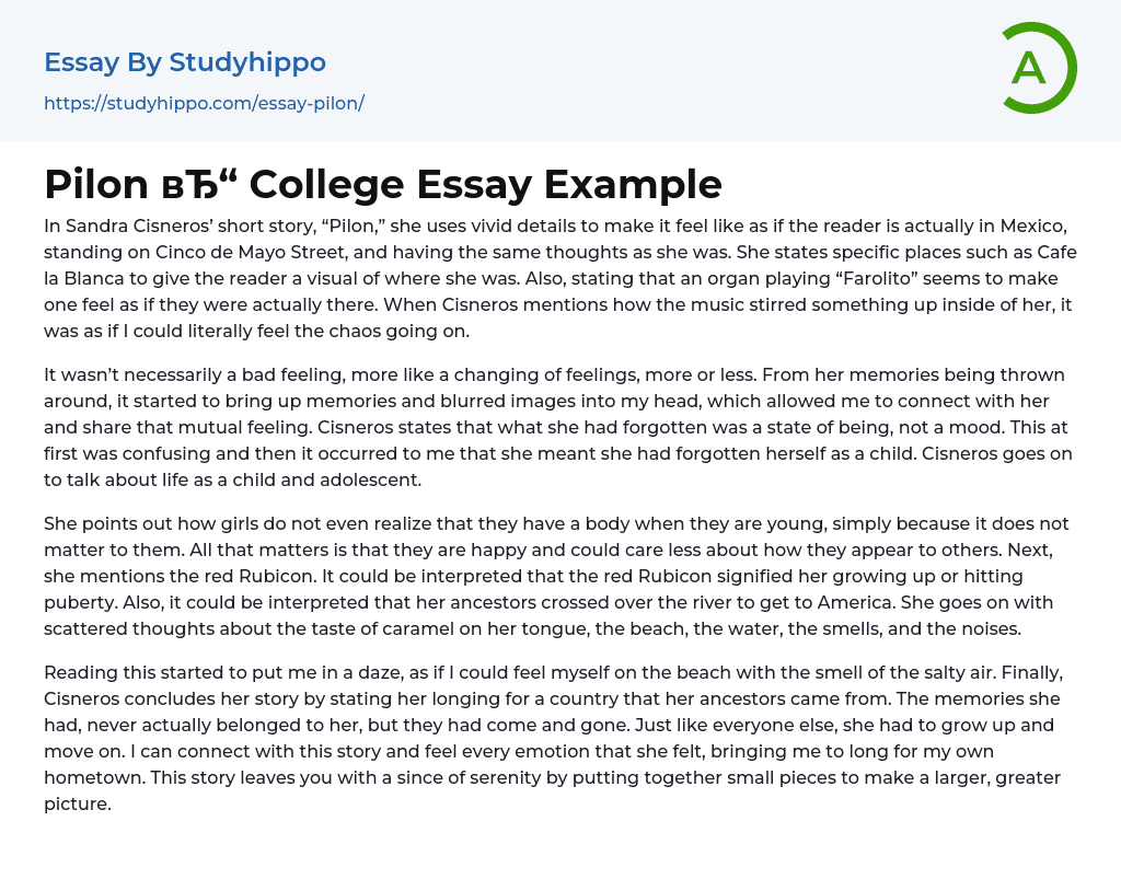 Pilon College Essay Example