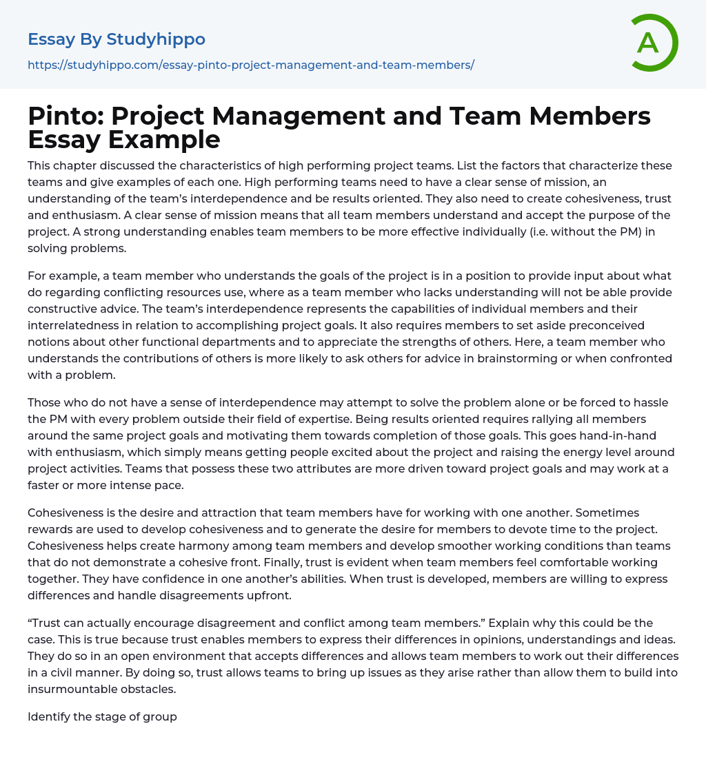 Pinto: Project Management and Team Members Essay Example