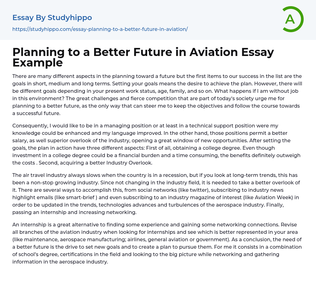 Planning to a Better Future in Aviation Essay Example