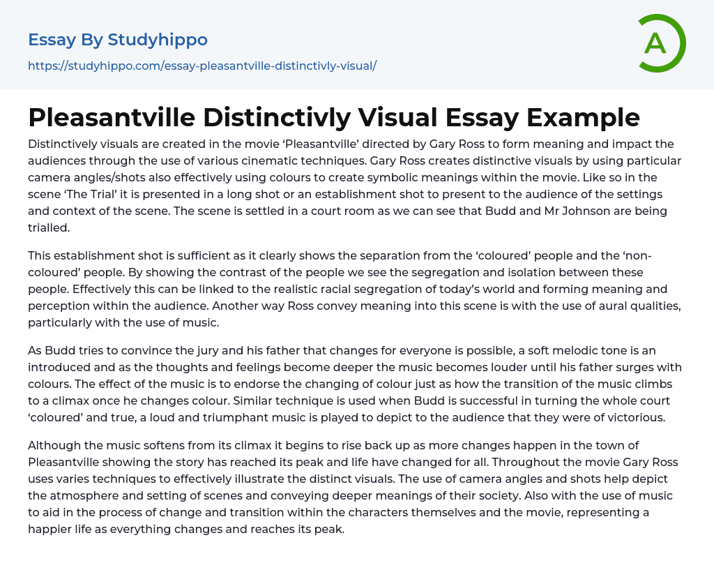 Pleasantville Distinctivly Visual Essay Example