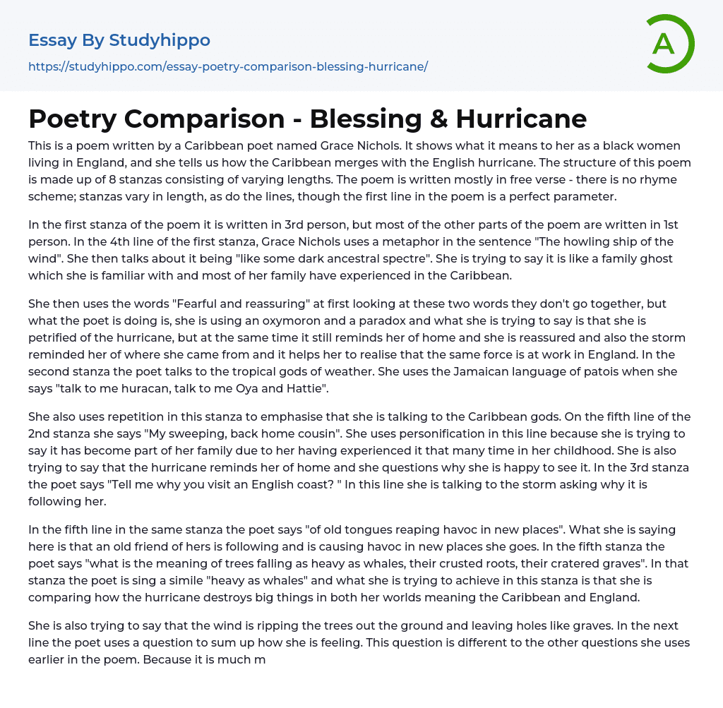 Poetry Comparison – Blessing & Hurricane Essay Example