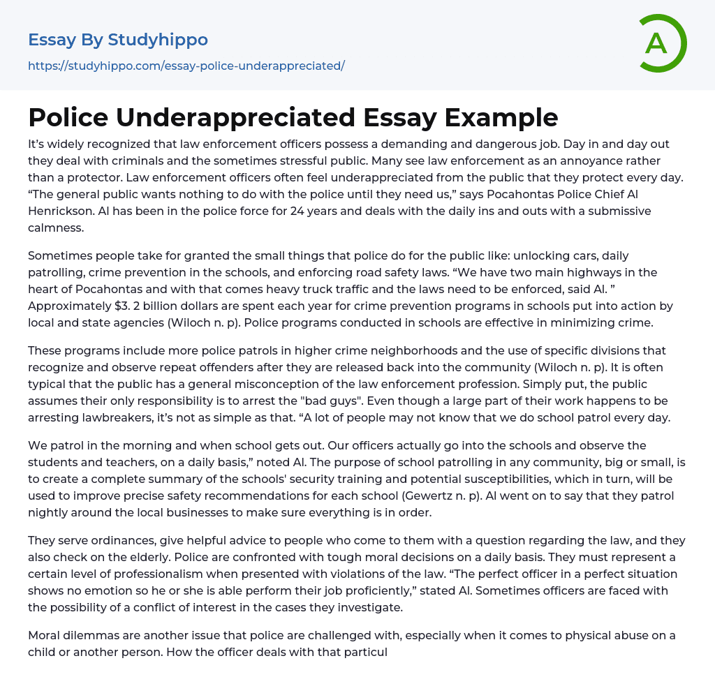 Police Underappreciated Essay Example