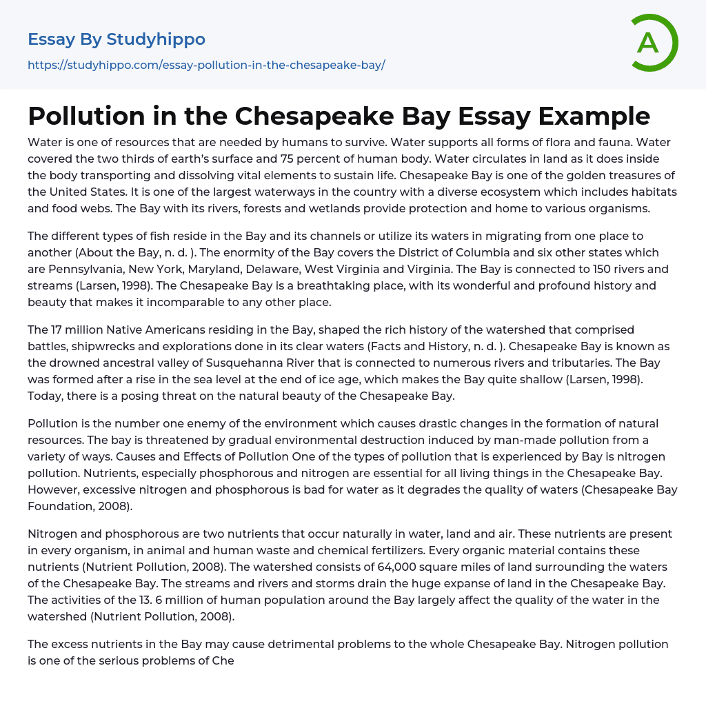 Pollution in the Chesapeake Bay Essay Example