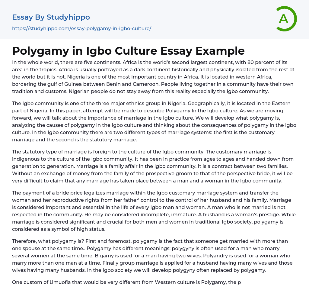 Polygamy in Igbo Culture Essay Example