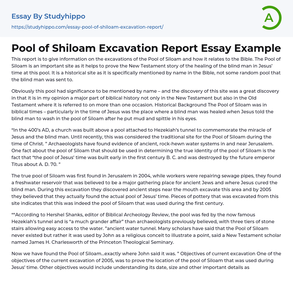 Pool of Shiloam Excavation Report Essay Example