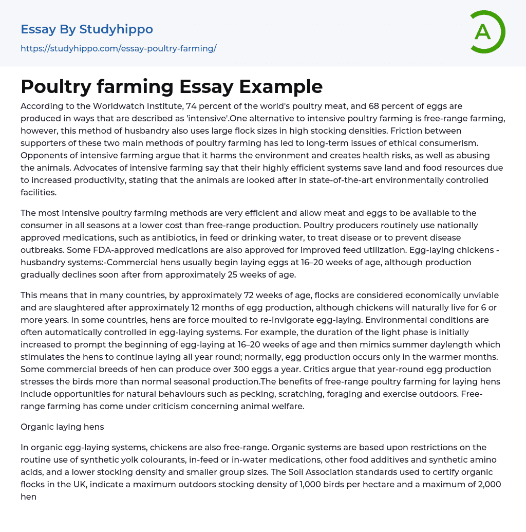 Poultry farming Essay Example