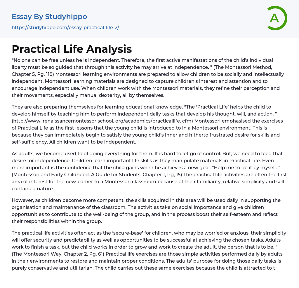 Practical Life Analysis Essay Example