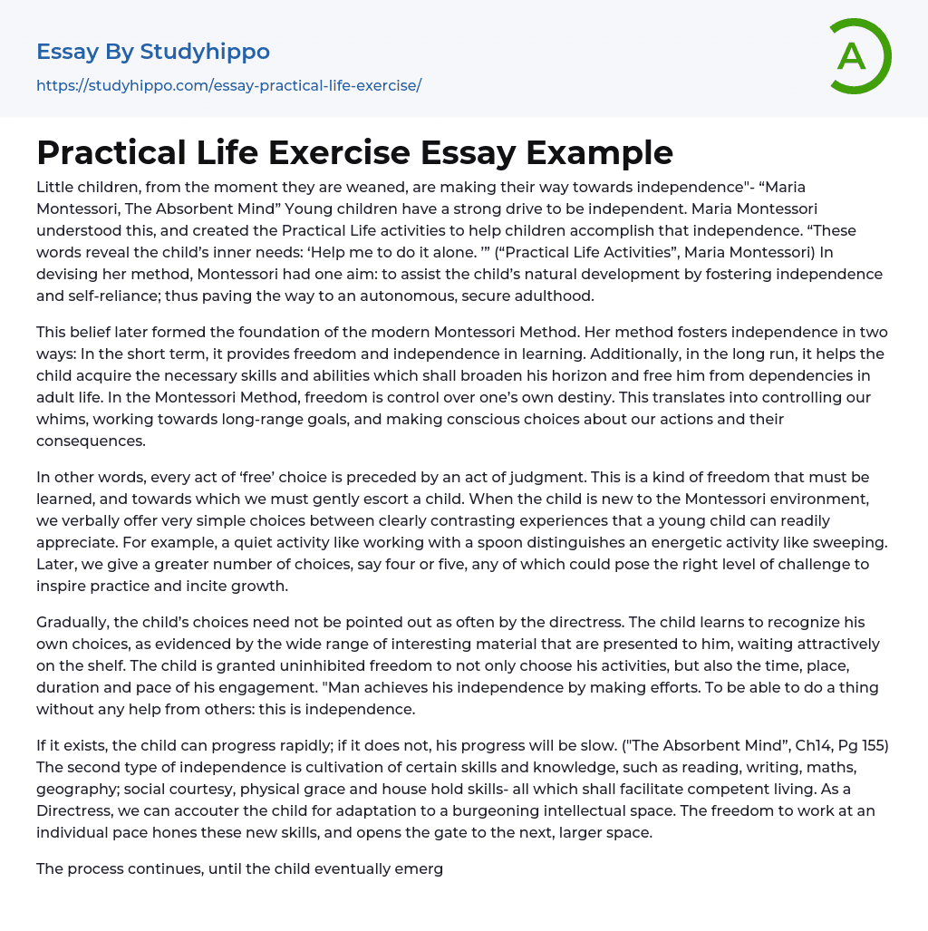 Practical Life Exercise Essay Example