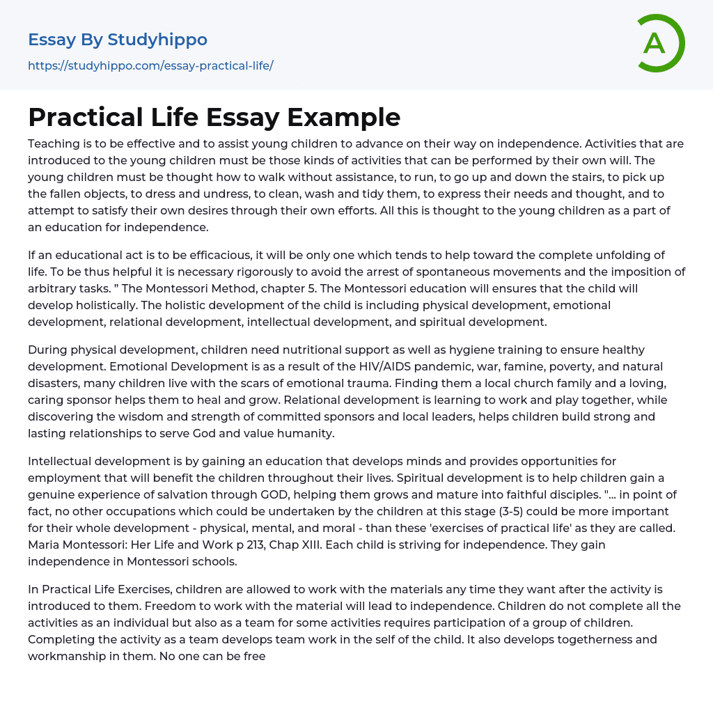 Practical Life Essay Example