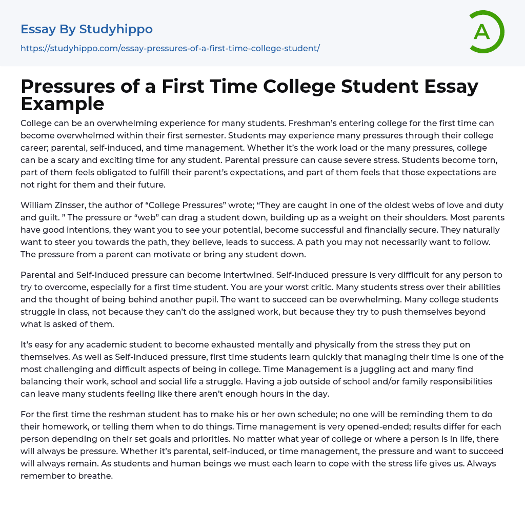 Pressures of a First Time College Student Essay Example